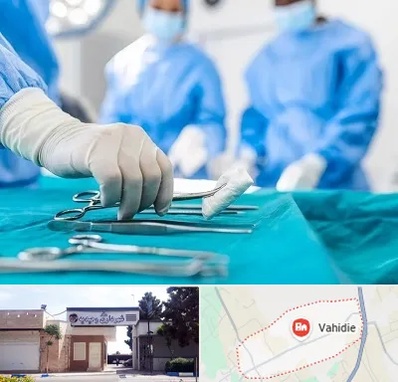 مونس پلاستی در وحیدیه شهریار