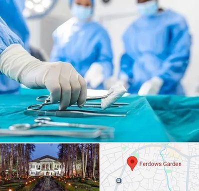 مونس پلاستی در باغ فردوس