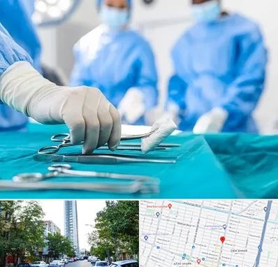 مونس پلاستی در امامت مشهد