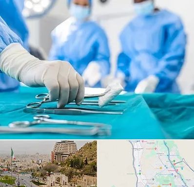 مونس پلاستی در فرهنگ شهر شیراز