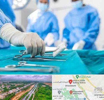 مونس پلاستی در قصرالدشت شیراز