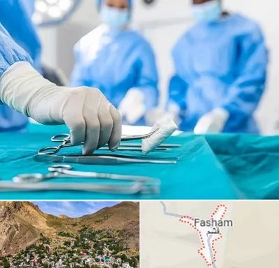 مونس پلاستی در فشم