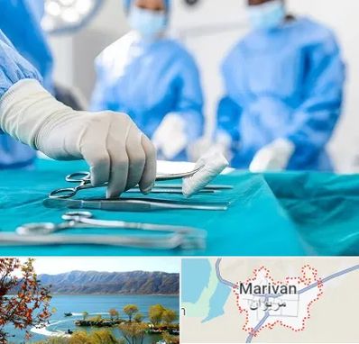 مونس پلاستی در مریوان