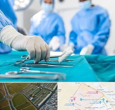 مونس پلاستی در الهیه مشهد