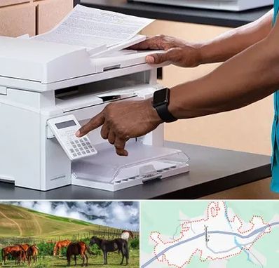 کافی نت در تالش