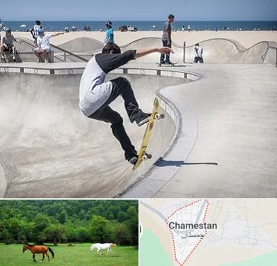 پیست اسکیت در چمستان