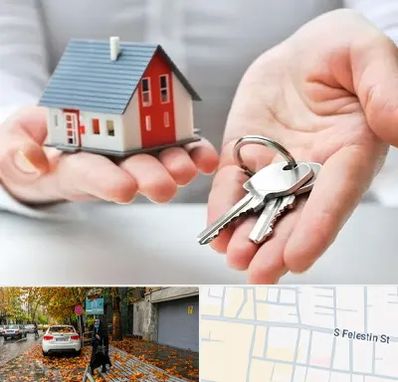 املاک در خیابان فلسطین