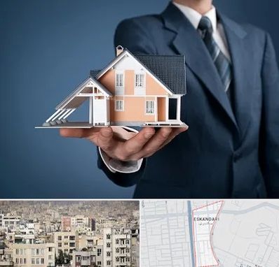 دپارتمان در اسکندری