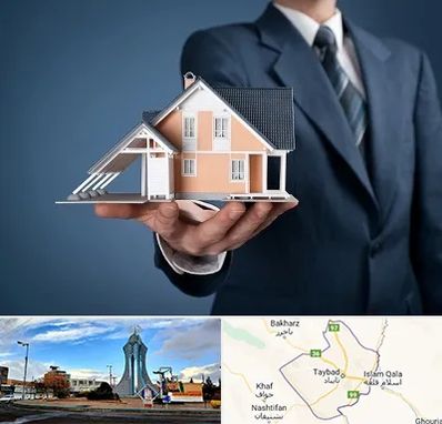 دپارتمان در تایباد