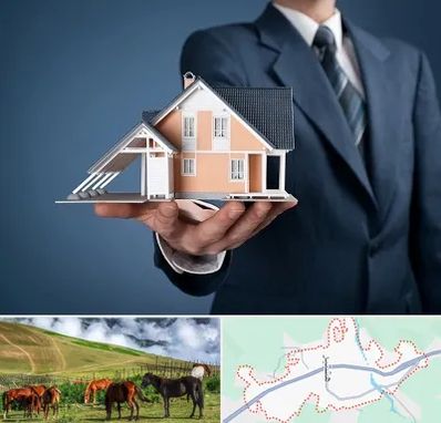 دپارتمان در تالش