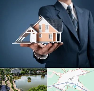 دپارتمان در لنگرود