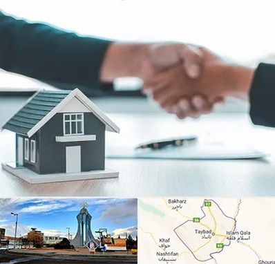 مشاور املاک در تایباد