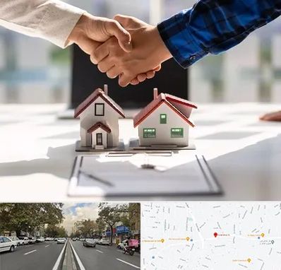 بنگاه در دولت