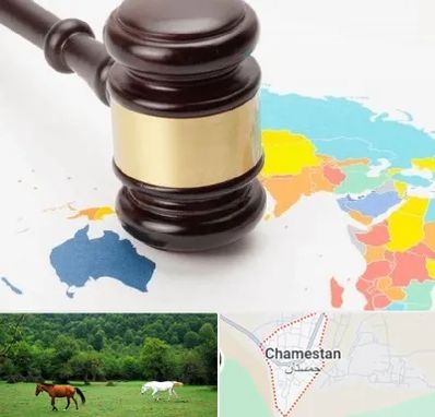وکیل بین المللی در چمستان