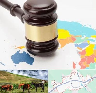 وکیل بین المللی در تالش
