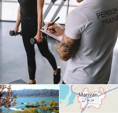 مربی خصوصی بدنسازی در مریوان