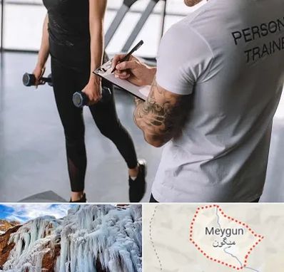 مربی خصوصی بدنسازی در میگون