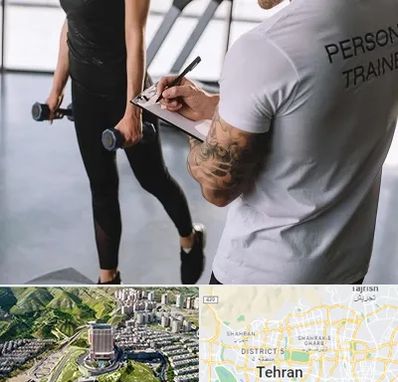 مربی خصوصی بدنسازی در شمال تهران 