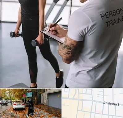 مربی خصوصی بدنسازی در خیابان فلسطین