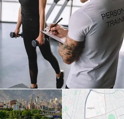 مربی خصوصی بدنسازی در جمشیدیه