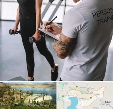 مربی خصوصی بدنسازی در شبستر