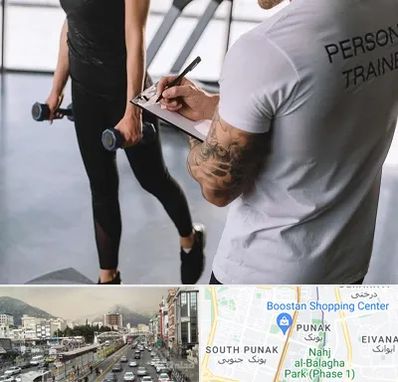 مربی خصوصی بدنسازی در پونک 