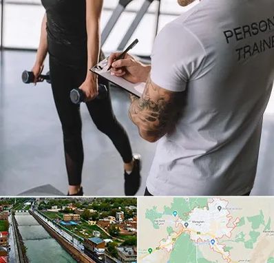 مربی خصوصی بدنسازی در مراغه