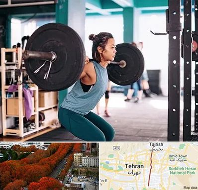 مربی بدنسازی خانم در ولیعصر 