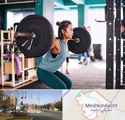 مربی بدنسازی خانم در مشکین دشت