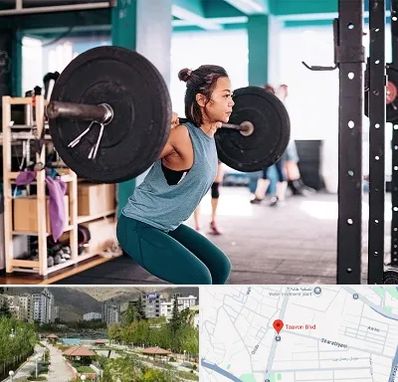 مربی بدنسازی خانم در بلوار تعاون