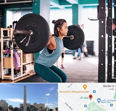 مربی بدنسازی خانم در فلکه گاز شیراز