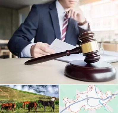 وکیل دادگستری در تالش