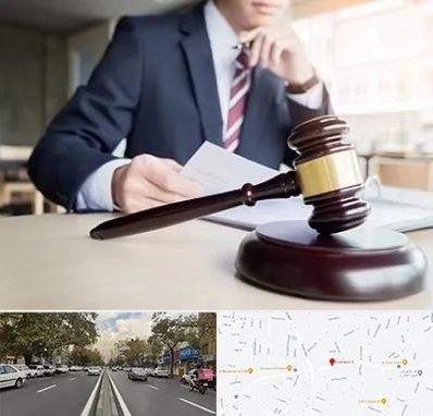 وکیل دادگستری در دولت