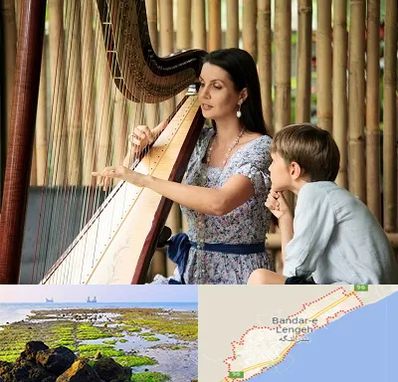 آموزشگاه چنگ در بندرلنگه