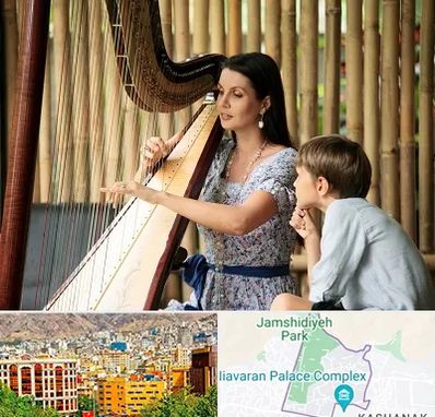 آموزشگاه چنگ در نیاوران 