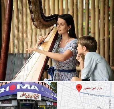 آموزشگاه چنگ در امین حضور