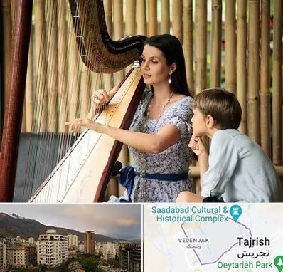 آموزشگاه چنگ در زعفرانیه 