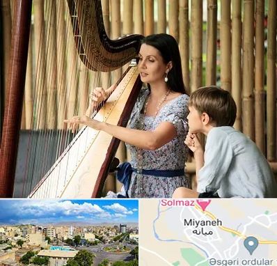 آموزشگاه چنگ در میانه