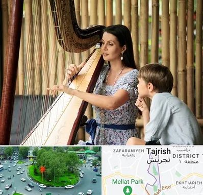 آموزشگاه چنگ در تجریش 