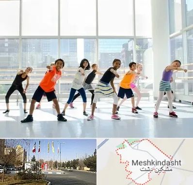 مربی زومبا در مشکین دشت
