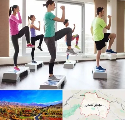 مربی ایروبیک در خراسان شمالی