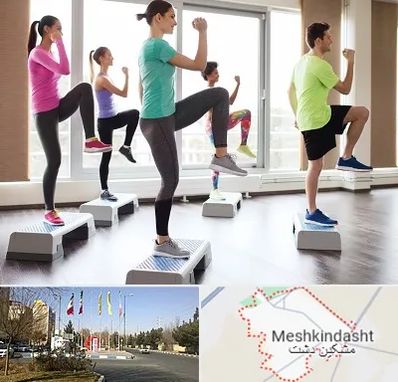 مربی ایروبیک در مشکین دشت