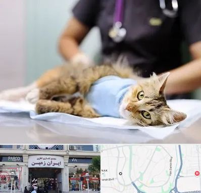 جراح حیوانات در ایران زمین