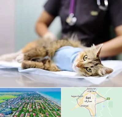 جراح حیوانات در ساری