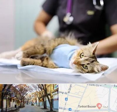 جراح حیوانات در تربیت تبریز