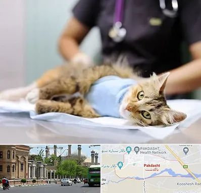 جراح حیوانات در پاکدشت