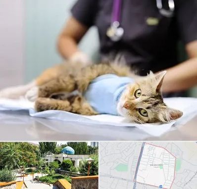 جراح حیوانات در باغمیشه تبریز