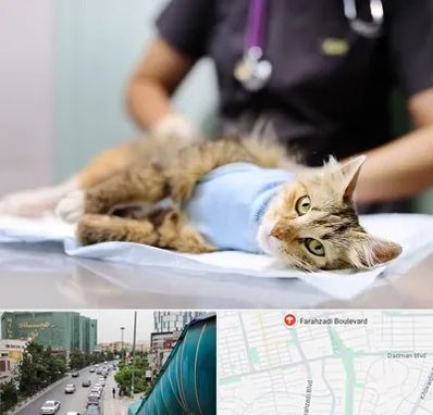 جراح حیوانات در بلوار فرحزادی