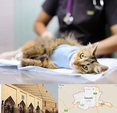 جراح حیوانات در ساوه