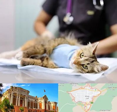 جراح حیوانات در خوی